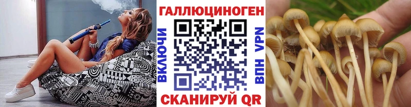 продажа наркотиков  Калач-на-Дону  Галлюциногенные грибы Psilocybe 