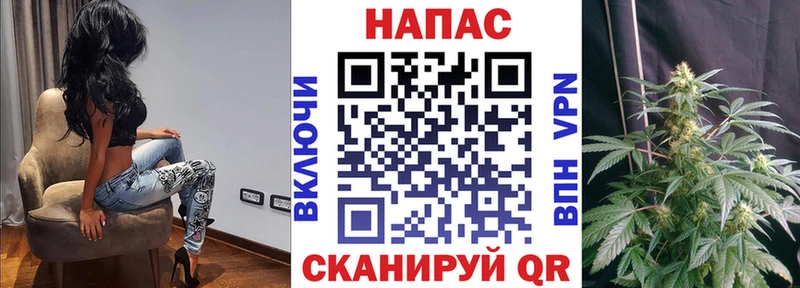 Бошки Шишки семена  Калач-на-Дону 